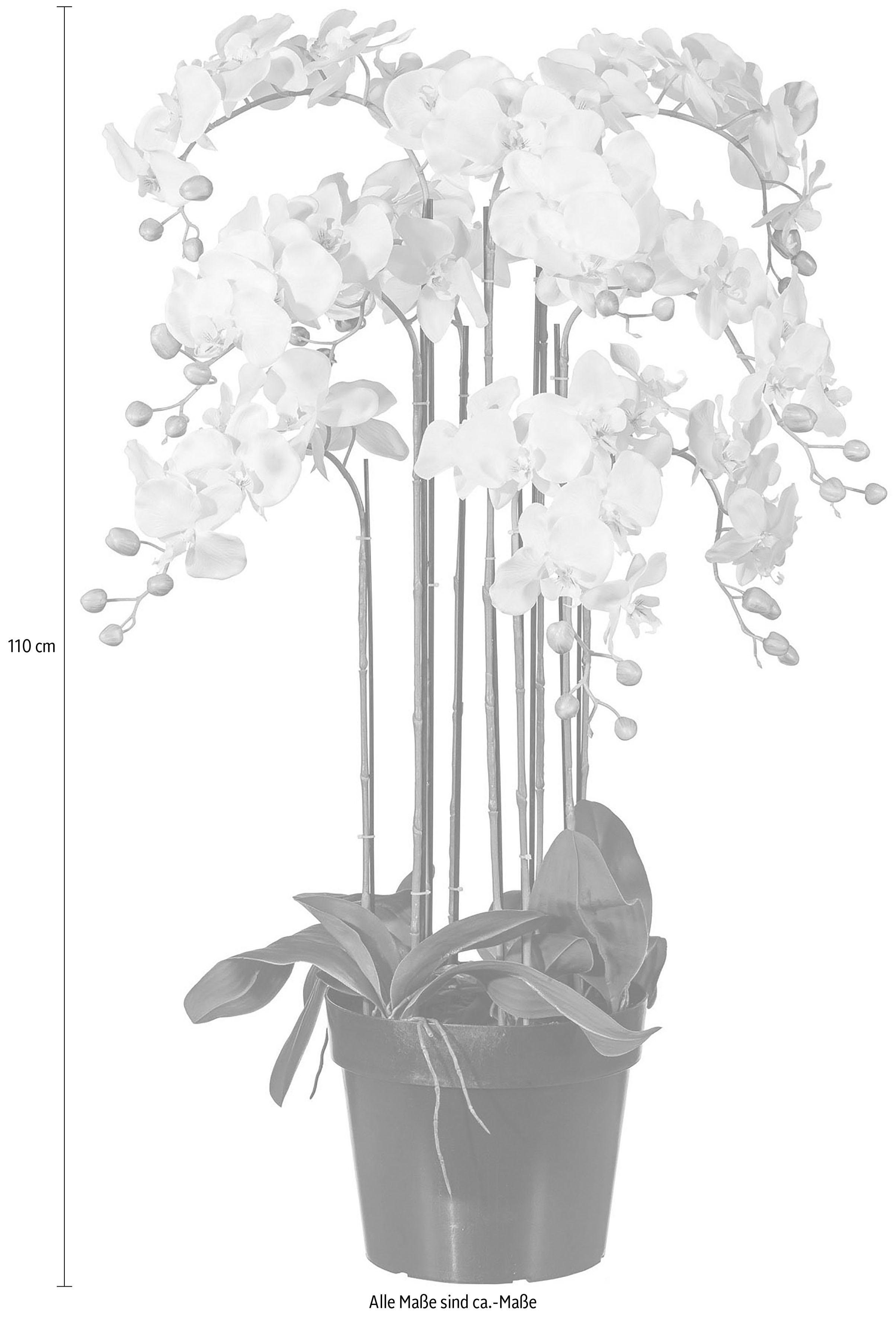 Kunstpflanze Orchidee, Creativ green, Höhe 110 cm günstig online kaufen