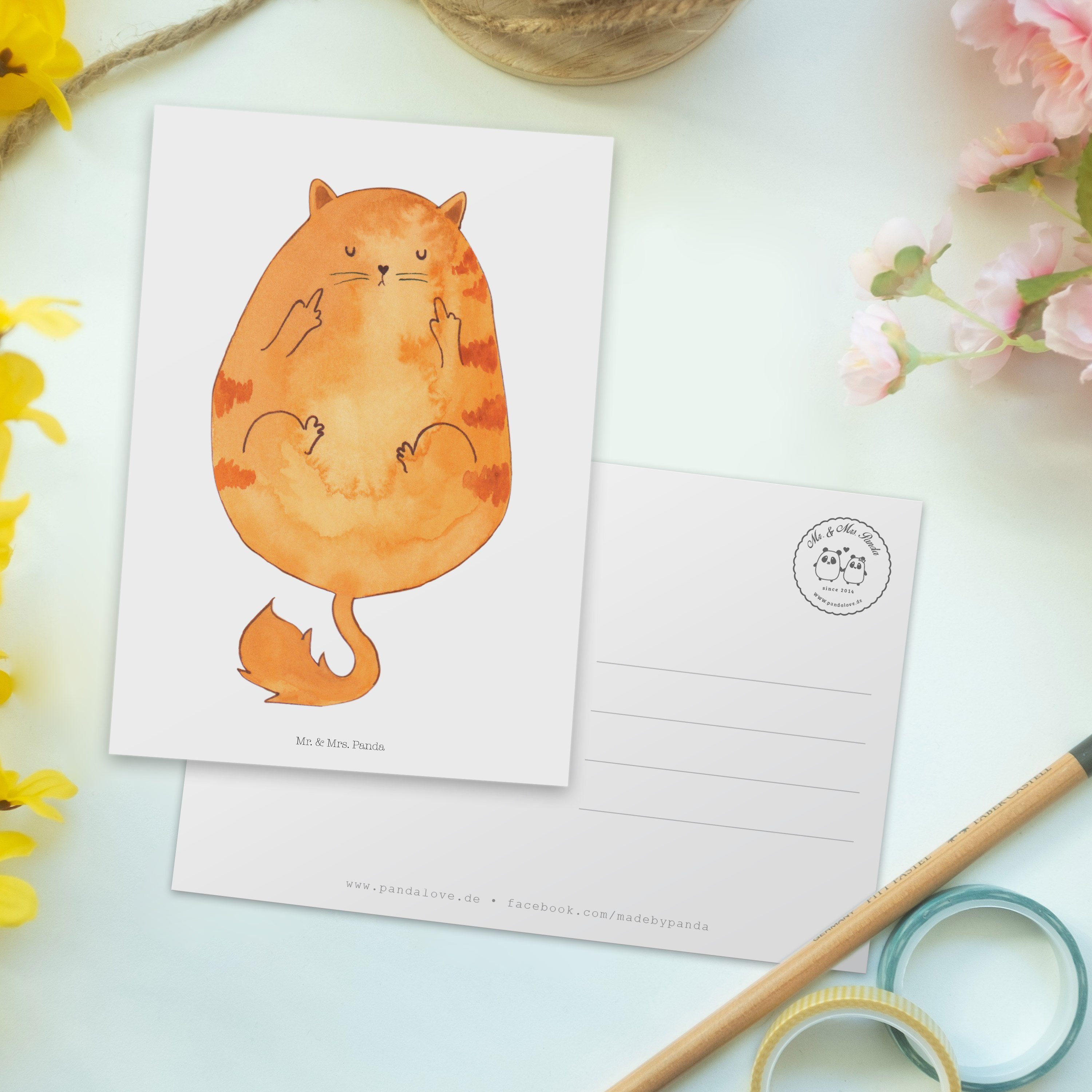 Mr. & Postkarte - Mittelfinger Geschenk, Mrs. Panda Cats, Weiß Gebu Katze - Dankeskarte, lustig
