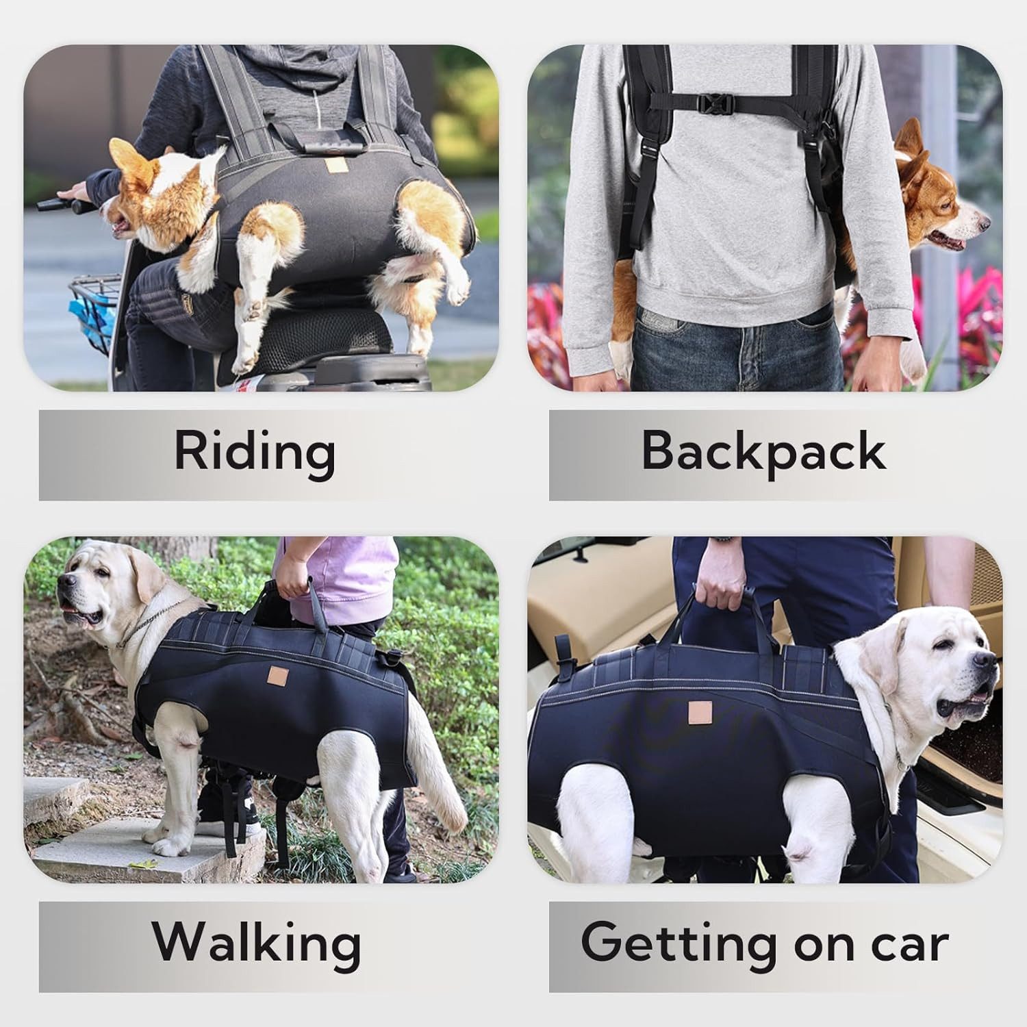 FELIXLEO Hunde-Geschirr Hundegeschirr Tragehilfe Ganzkörper mit Griff bis 3 günstig online kaufen