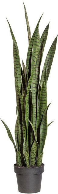 Kunstpflanze »Sanseveria«, Creativ green, Höhe 120 cm-Otto