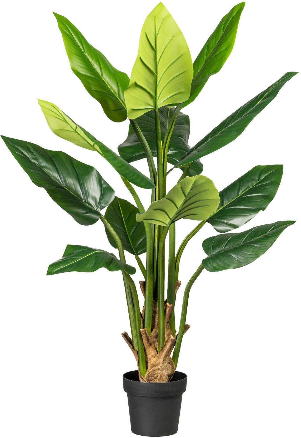 Künstliche Zimmerpflanze »Philodendron« x12 Blätter online kaufen OTTO