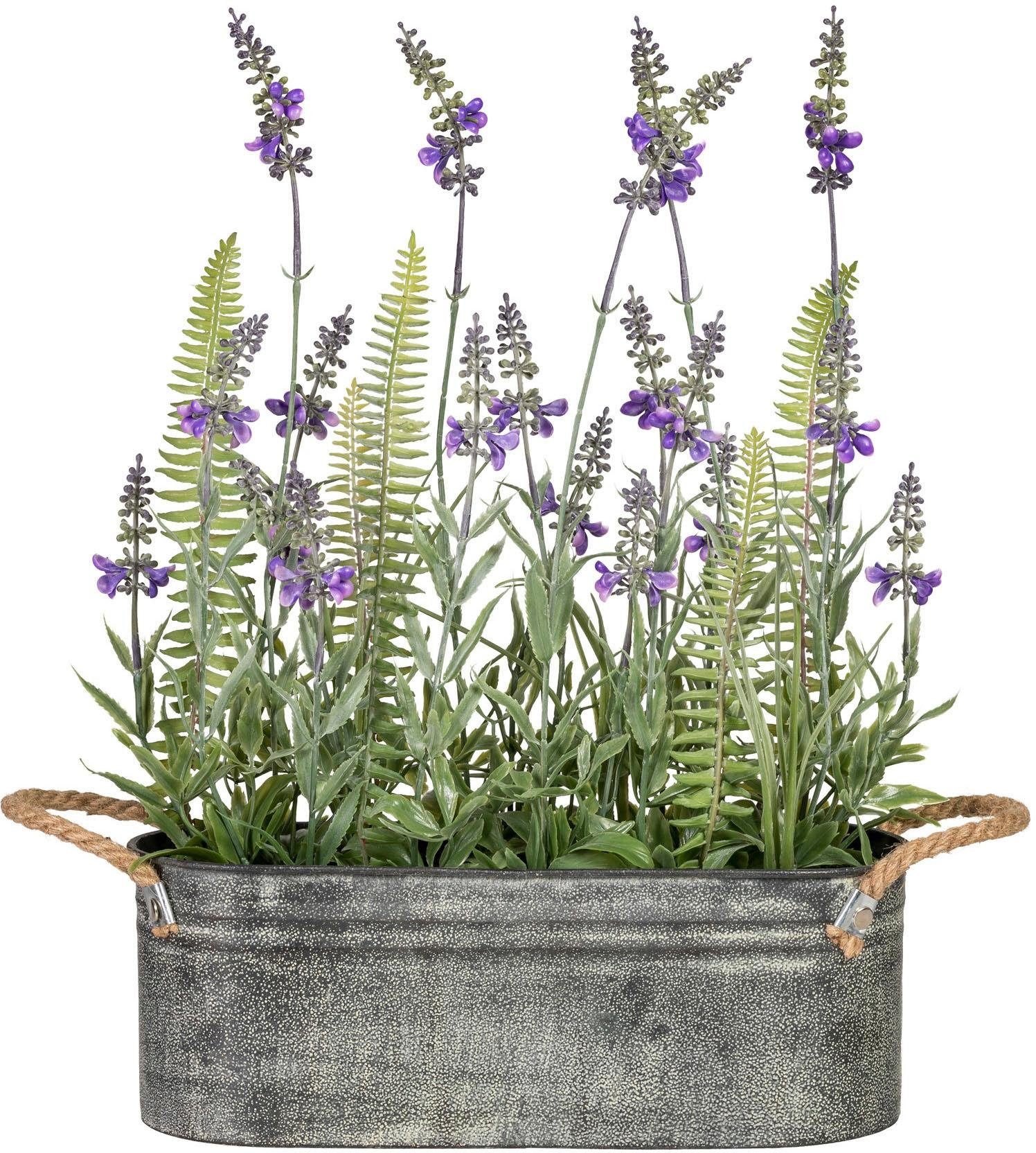 Künstliche Zimmerpflanze »Lavendel« x19, ca. 40 cm OTTO