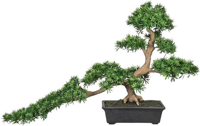Kunstbonsai »Bonsai Podocarpus« Bonsai, Creativ green, Höhe 130 cm-Otto