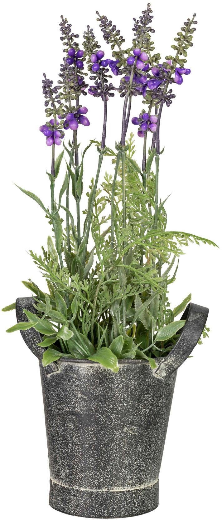 Künstliche Zimmerpflanze »Lavendel« x9, ca. 35 cm OTTO