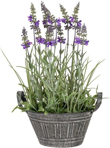 Künstliche Zimmerpflanze »Lavendel« x12, ca. 33 cm OTTO