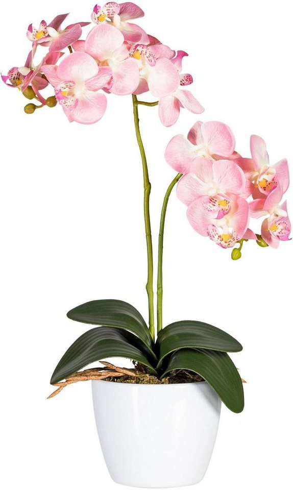 Kunstpflanze »Phalaenopsis« Orchidee, Creativ green, Höhe 50 cm-HomeTrends