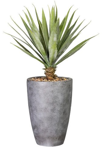 Искусственное растение »Yucca&la...