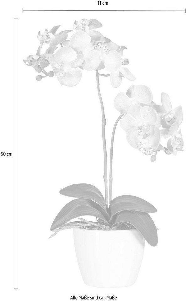 Kunstpflanze »Phalaenopsis« Orchidee, Creativ green, Höhe 50 cm-kaufen