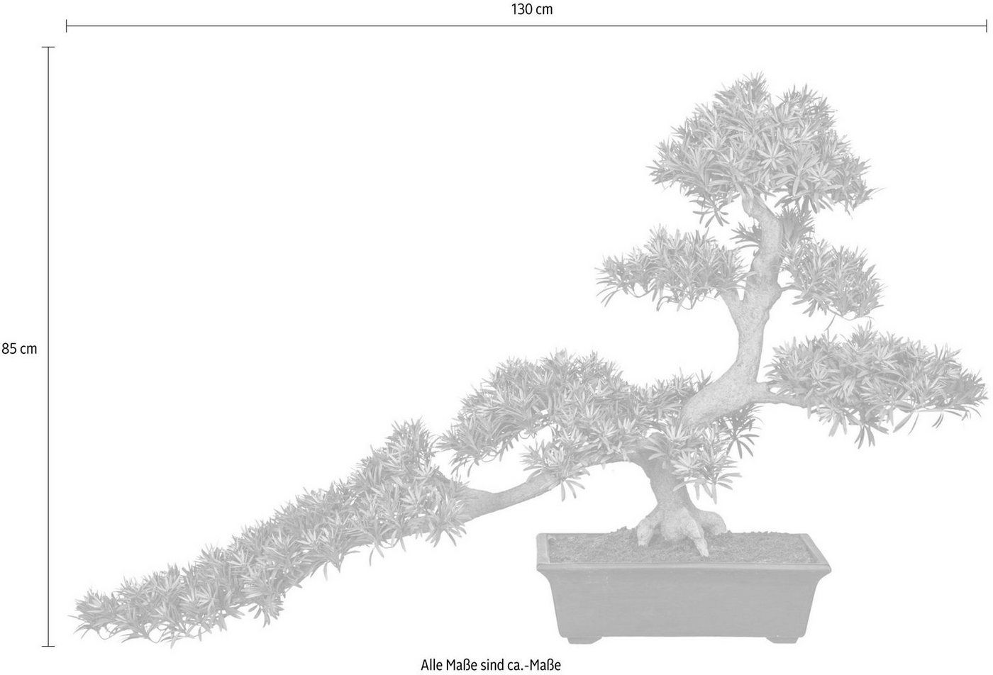 Kunstbonsai »Bonsai Podocarpus« Bonsai, Creativ green, Höhe 130 cm-HomeTrends