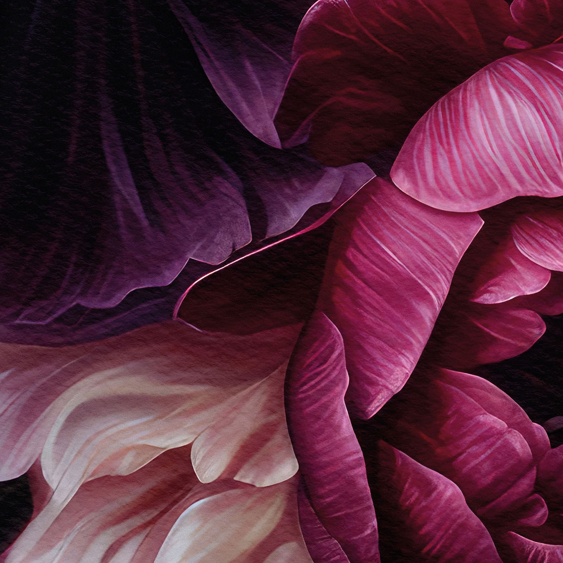 K&L Wall Art Vliestapete XXL Fototapete Natur Blumentapete große Naturtapete, floral, bedruckt, matt