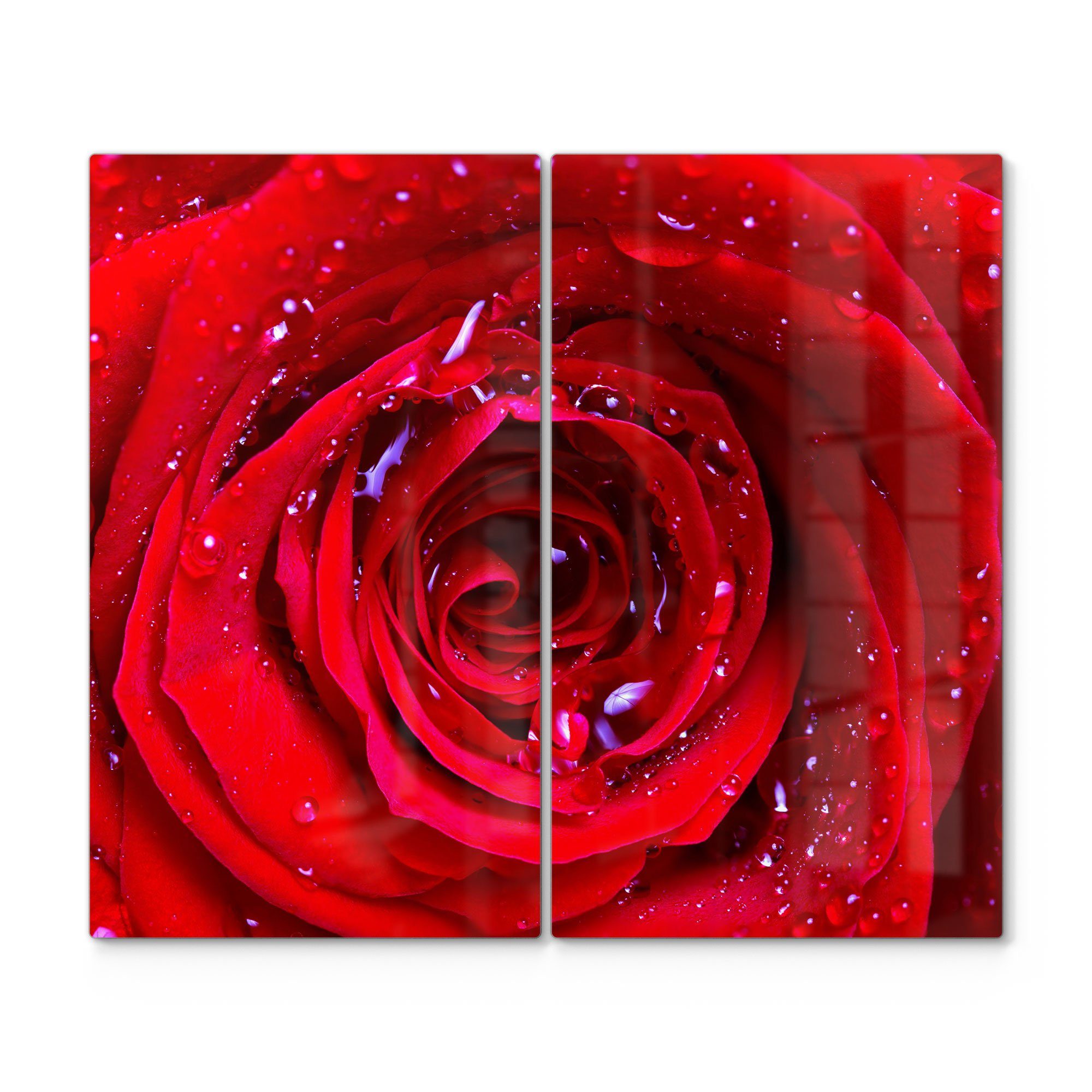 DEQORI Herdblende-/Abdeckplatte 'Rose mit Wasserperlen', Glas, (2 tlg), Glas Herdabdeckplatte Ceranfeld Herd