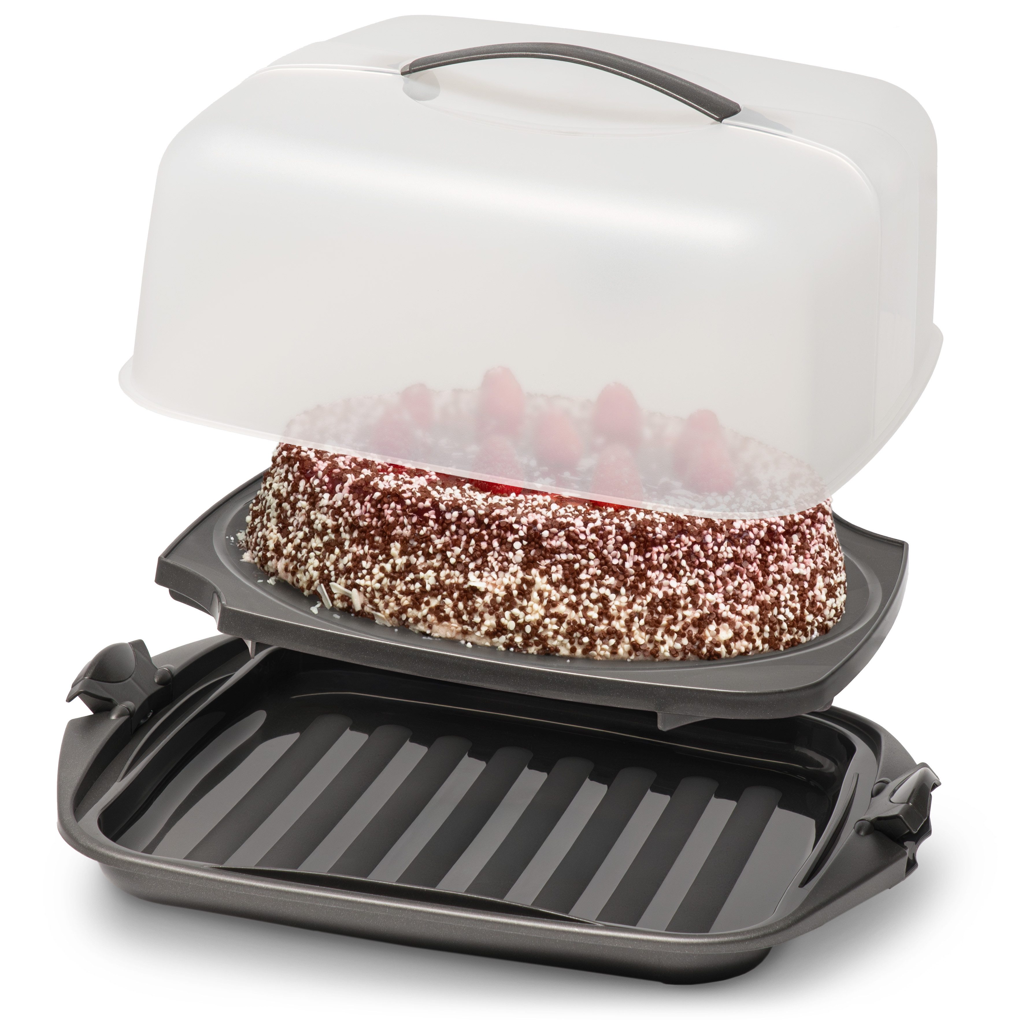 Hausfelder Kuchentransportbox Kuchen Transportbox quadratisch, 28,5 x 28,5 x 13,5 cm, Kunststoff, (Set, 1-tlg., 1 Box), mit Klick-Verschlüssen, spülmaschinenfest, BPA-frei
