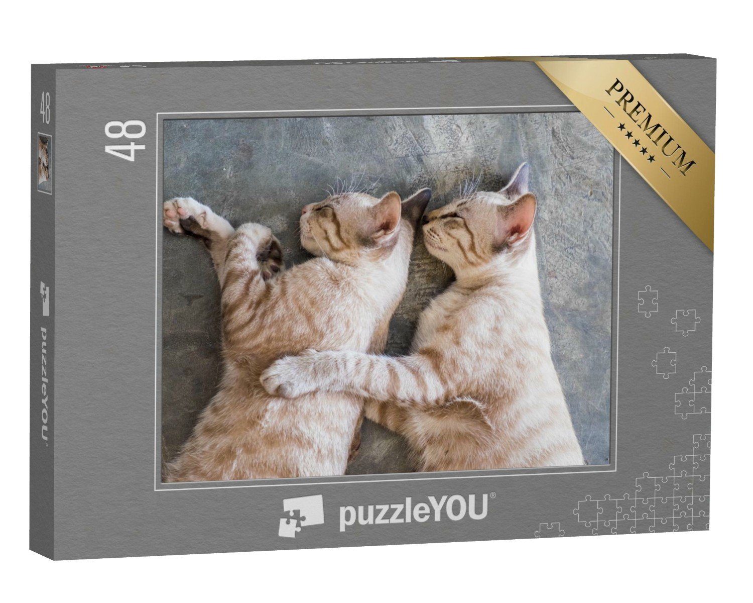 puzzleYOU Puzzle Zwei Katzen beim Mittagsschlaf, 48 Puzzleteile,  puzzleYOU-Kollektionen Katzen-Puzzles
