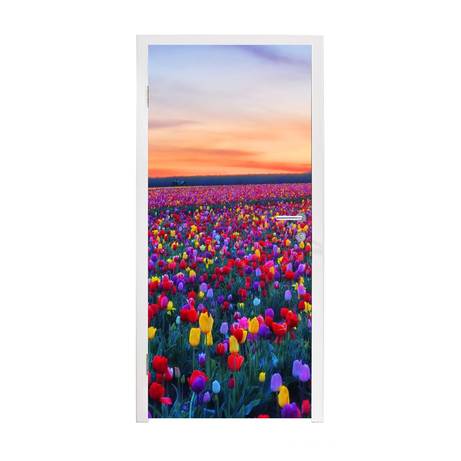 MuchoWow Türtapete Tulpen - Regenbogen (1 Fototapete - Horizont, Türaufkleber, bedruckt, cm für St), Matt, 75x205 Tür