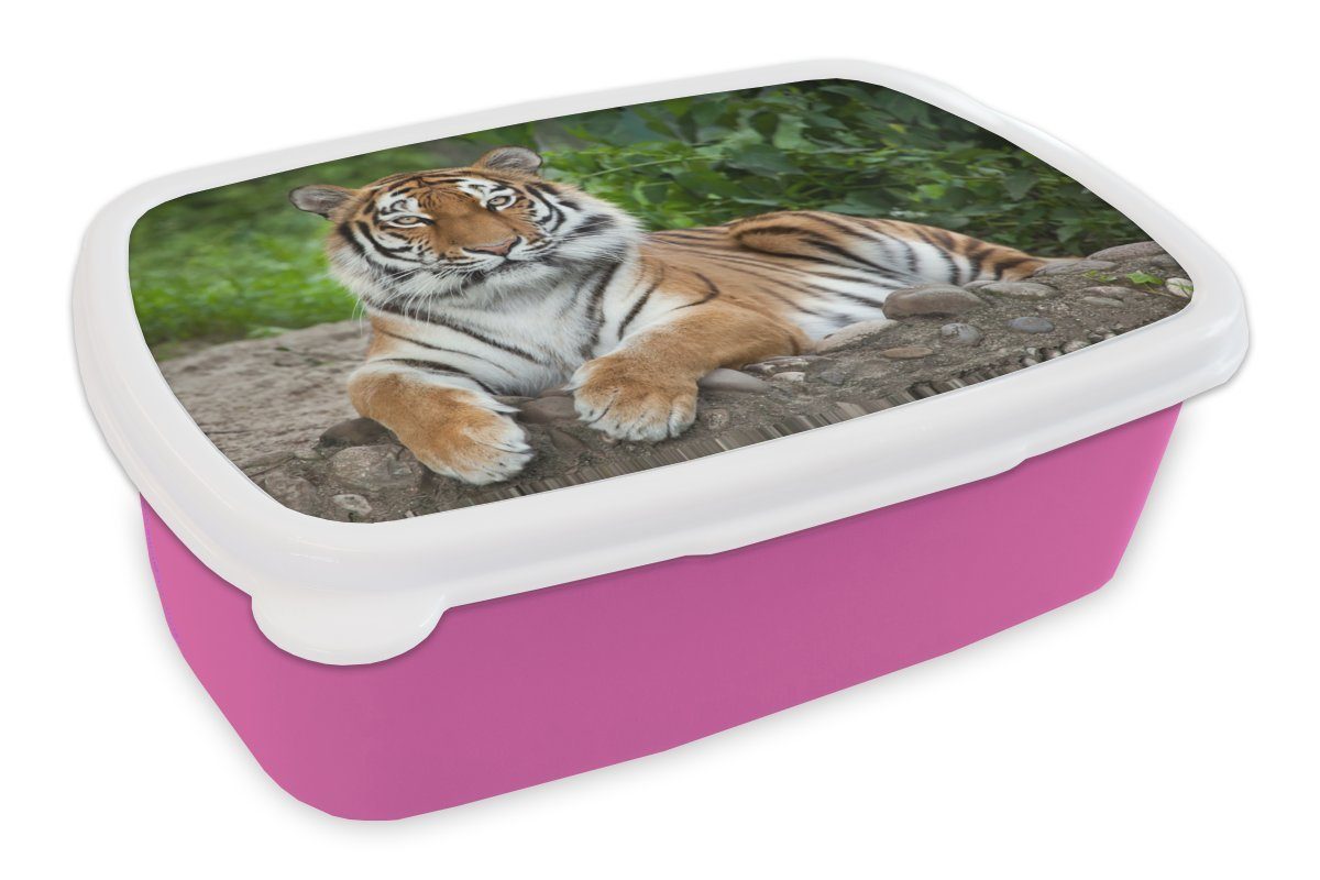 MuchoWow Lunchbox Tiger - Natur - Steine, Kunststoff, (2-tlg), Brotbox für Erwachsene, Brotdose Kinder, Snackbox, Mädchen, Kunststoff rosa