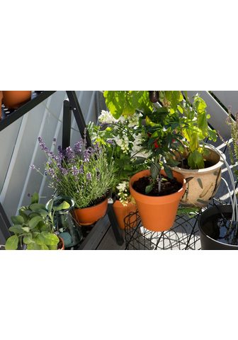 GARDENA Oборудование для полива воды »ci...