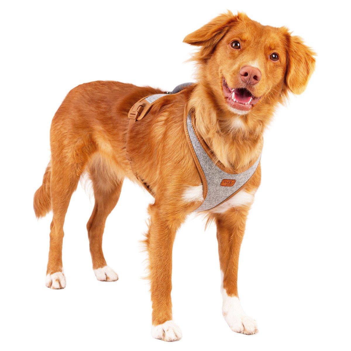 Curli Hunde-Geschirr Belka Geschirr Alpine Gray
