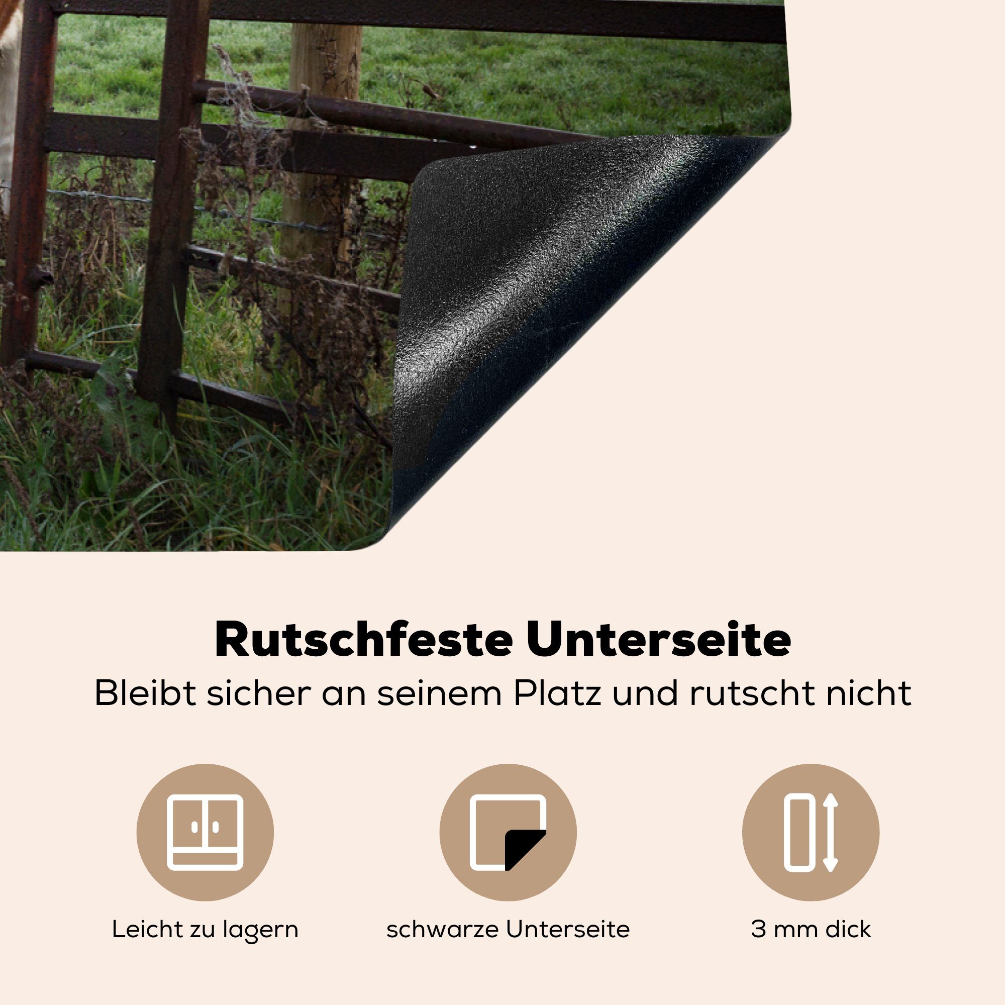 MuchoWow Herdblende-/Abdeckplatte Friesland, cm, Zaun Induktionskochfeld - für küche, Vinyl, Ceranfeldabdeckung Schutz - 81x52 die (1 tlg), Kühe