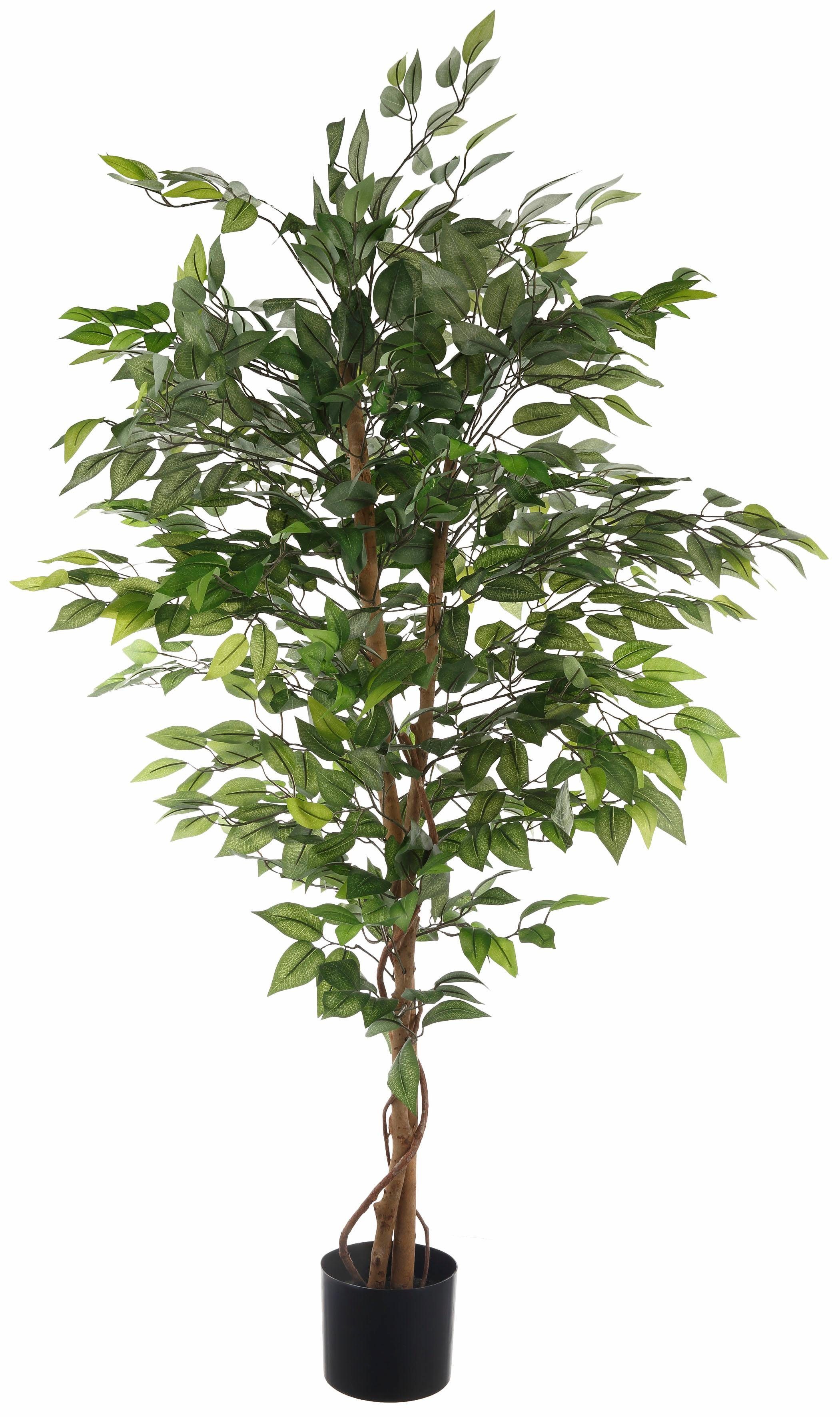 Kunstpflanze Ficus Creativ Benjamini, Benjamini Höhe 120 cm Ficus green