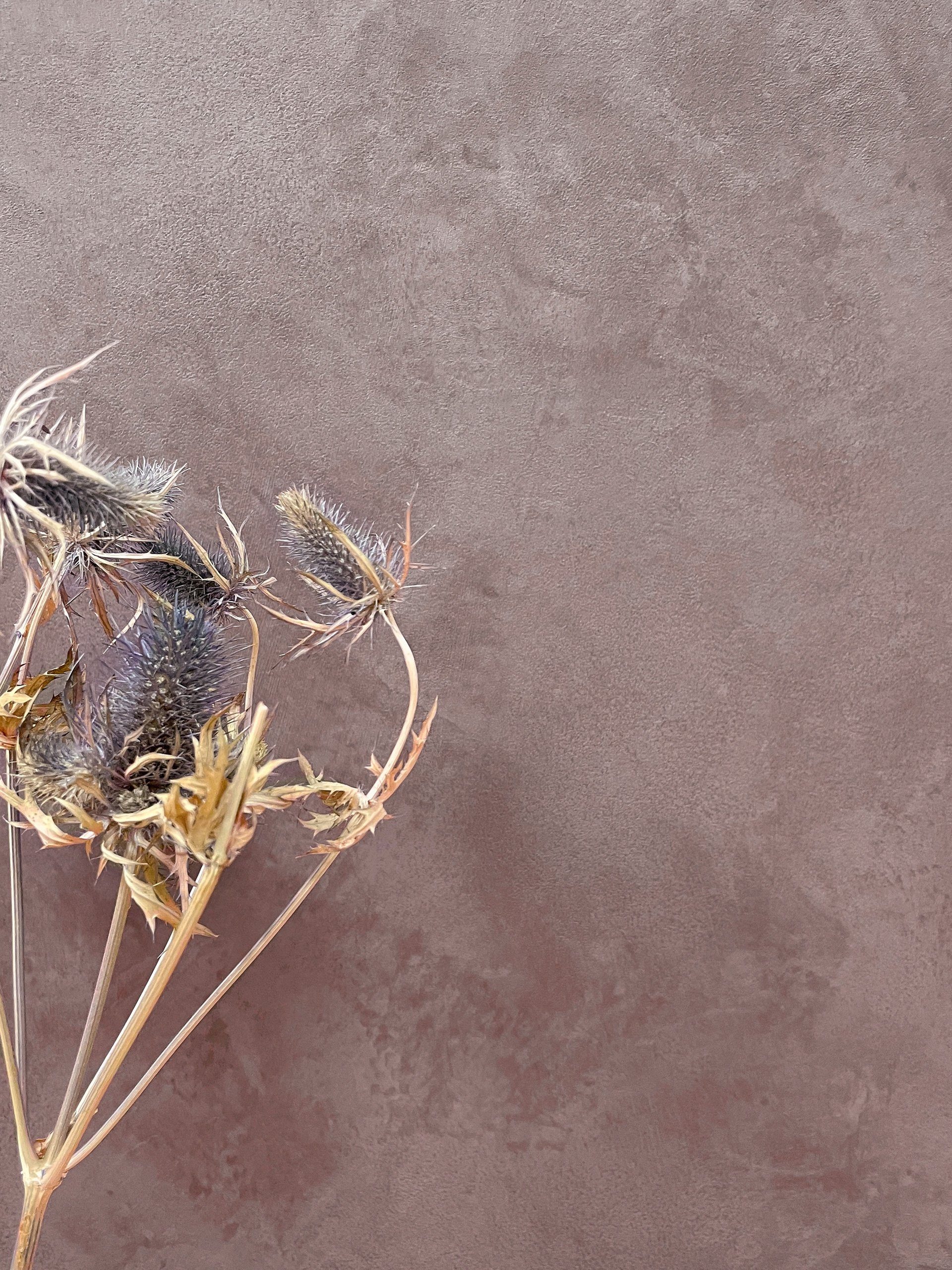 Newroom Vliestapete, Rot Tapete Uni Einfarbig - Unitapete Betontapete Braun günstig online kaufen