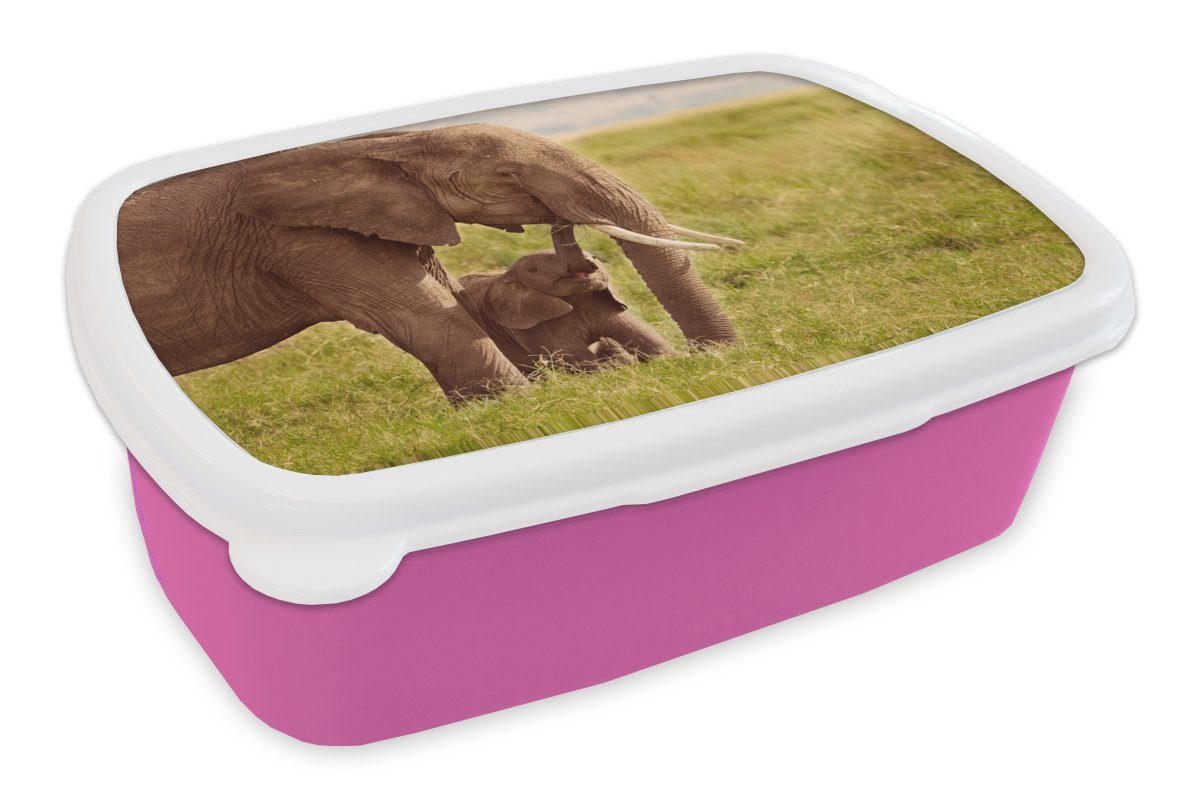 MuchoWow Lunchbox Brotbox Elefant für Erwachsene, - Rüssel, Brotdose (2-tlg), Gras rosa Kinder, Kunststoff - Jung Mädchen, Kunststoff, Snackbox, 