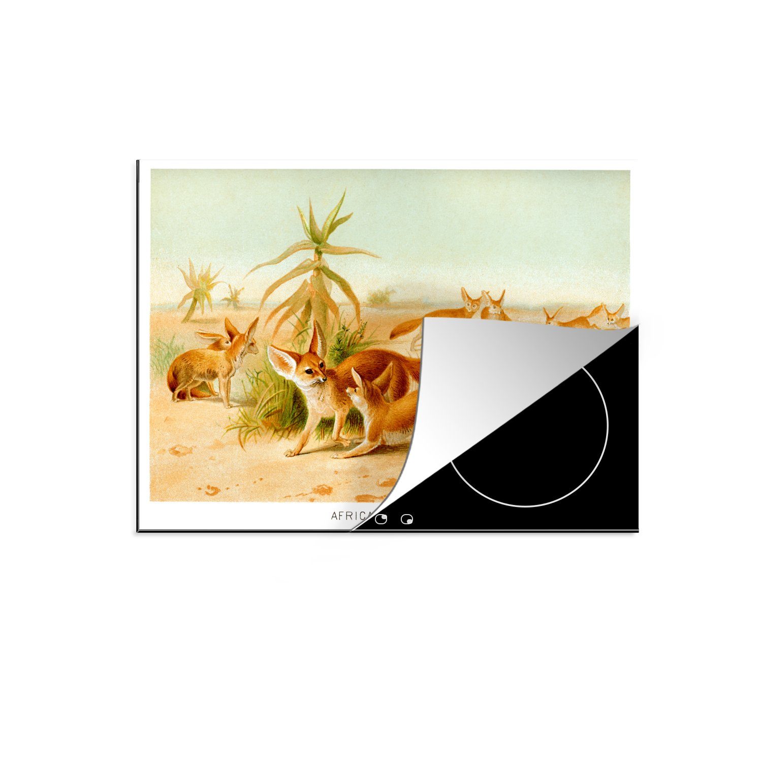 MuchoWow Herdblende-/Abdeckplatte Illustration Mobile nutzbar, in 70x52 Arbeitsfläche Ceranfeldabdeckung Vinyl, tlg), cm, (1 Wüste, der eines Fennecs
