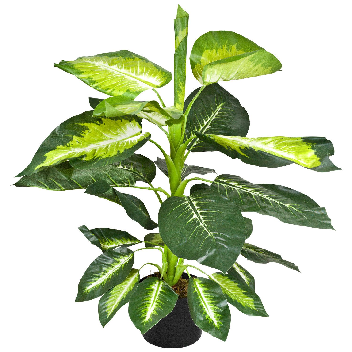 Künstliche Zimmerpflanze Dieffenbachie Kunstpflanze Kunstbaum Künstliche Pflanze 75 cm