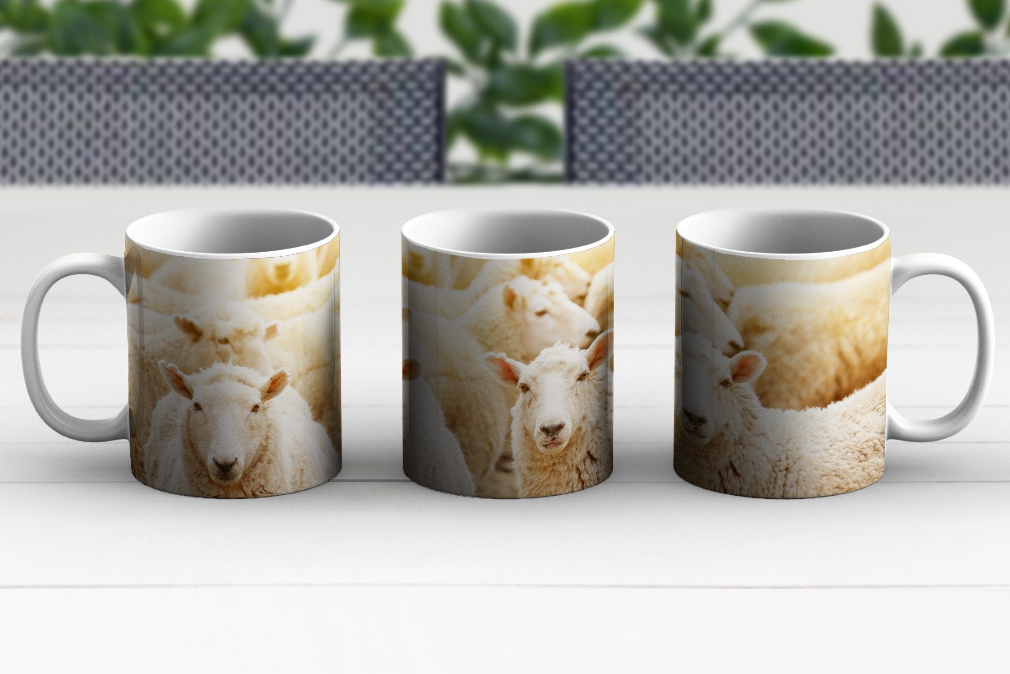 Kaffeetassen, - Schafe Weiß, - Becher, Teetasse, Wolle Teetasse, Keramik, Geschenk MuchoWow Tasse