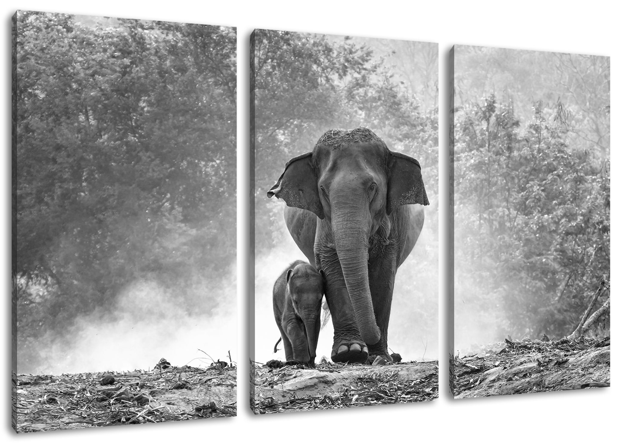 Pixxprint Leinwandbild Elefanten Baby Mama, Elefanten Baby Mama 3Teiler (120x80cm) (1 St), Leinwandbild fertig bespannt, inkl. Zackenaufhänger