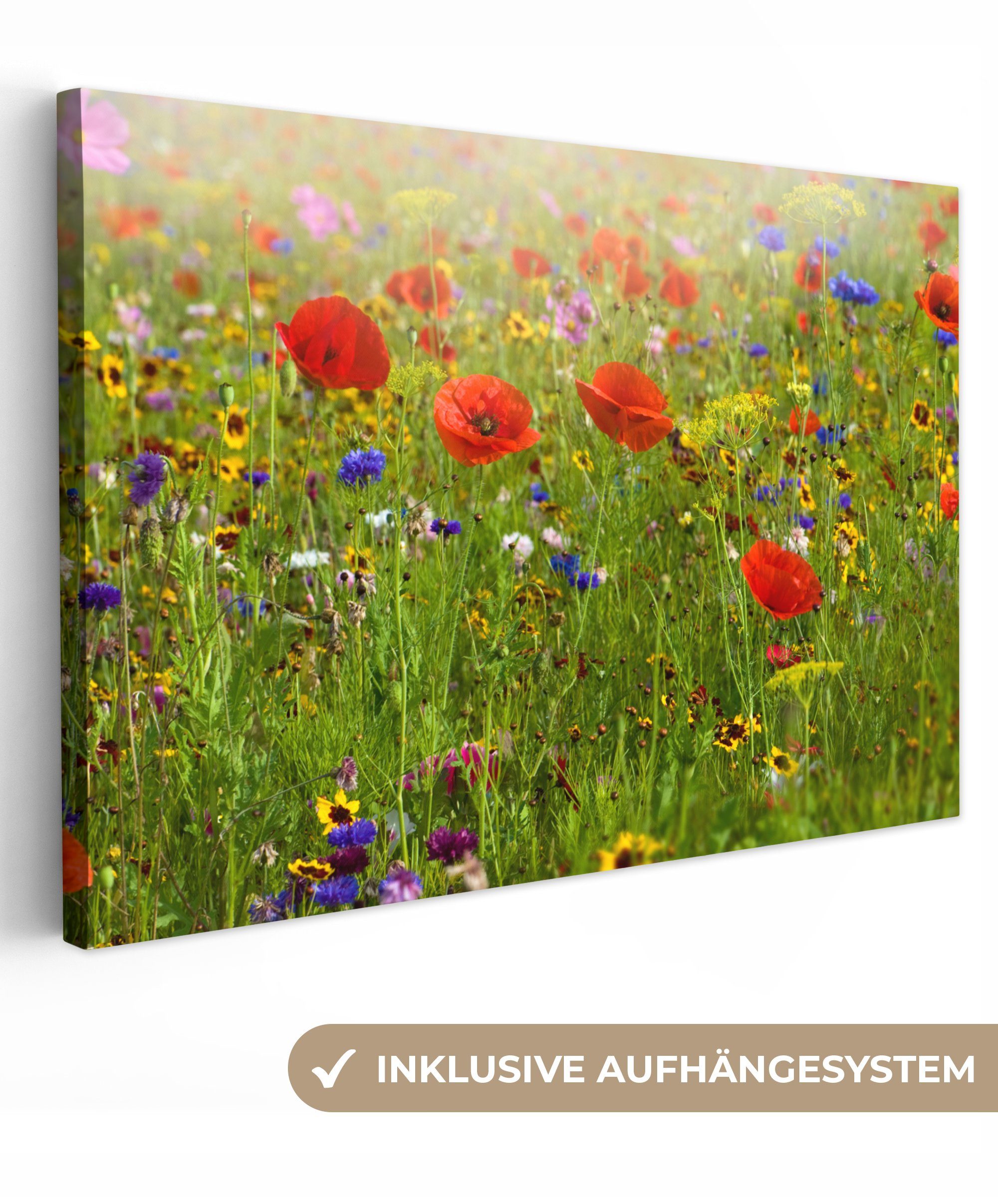 OneMillionCanvasses® Leinwandbild Frühling - Blumen - günstig online kaufen