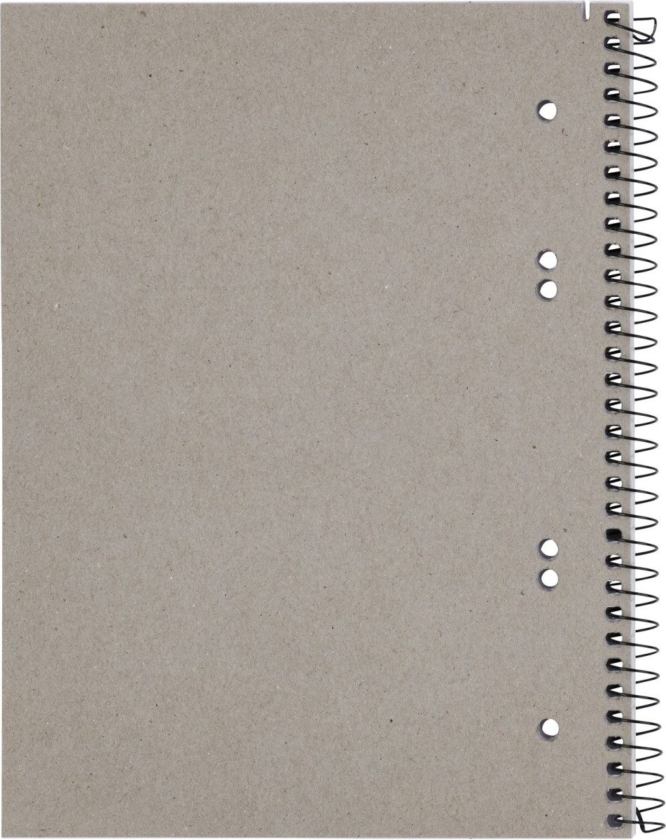 LANDRE Notenblock Collegeblock College A5+ 80 Blatt 70 g/qm 6-fach gelocht liniert