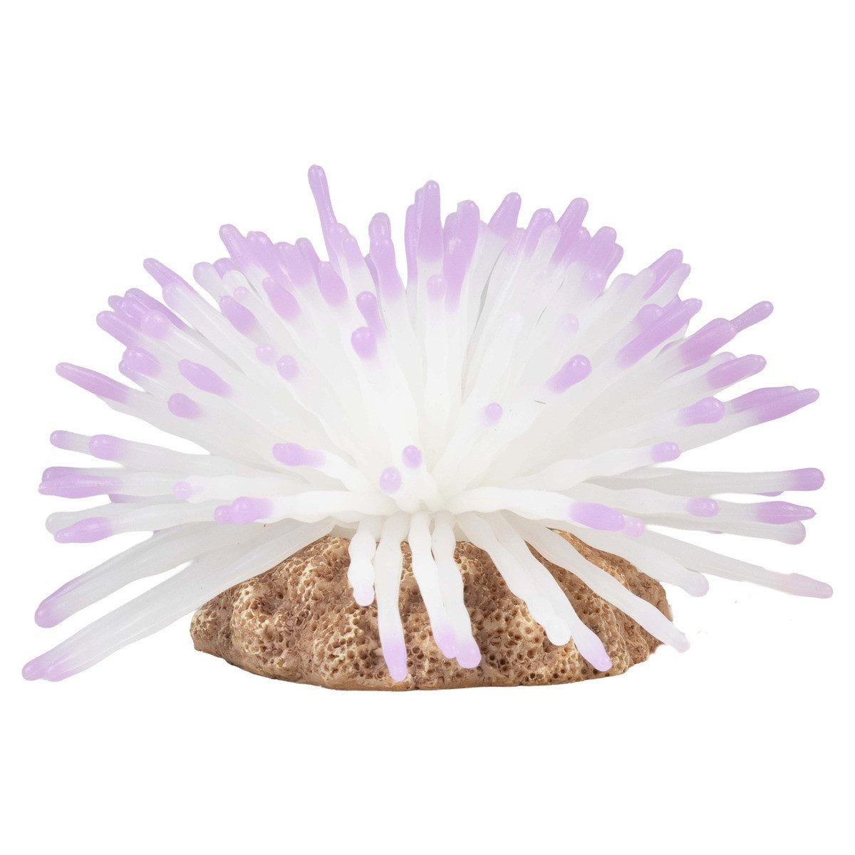 Europet-Bernina Aquariendeko Plastikpflanze Anemone weiß