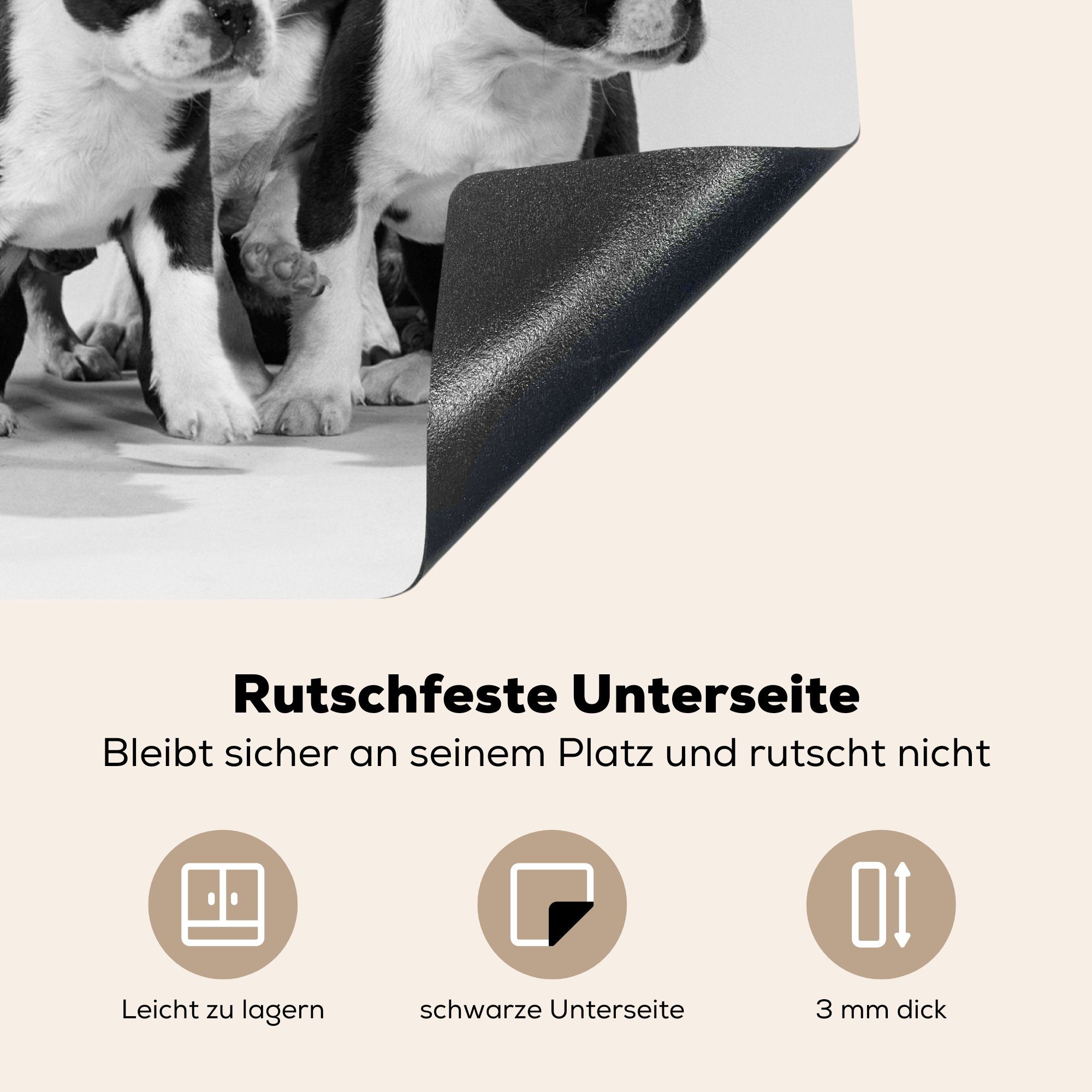 Terrier (1 und tlg), Arbeitsfläche Mobile MuchoWow Weiß, nutzbar, in Herdblende-/Abdeckplatte Vinyl, Welpen Schwarz Boston Ceranfeldabdeckung mit cm, 60x52