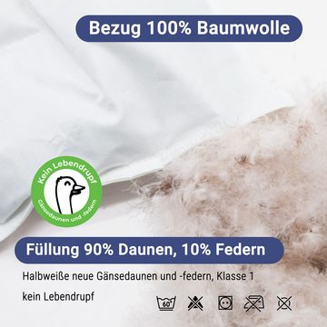 Kinderbettdecke, ZOLLNER, Füllung: 90% Daunen, 10% Federn, 80 x 80 cm, 100% Baumwolle, vom Hotelwäschespezialisten