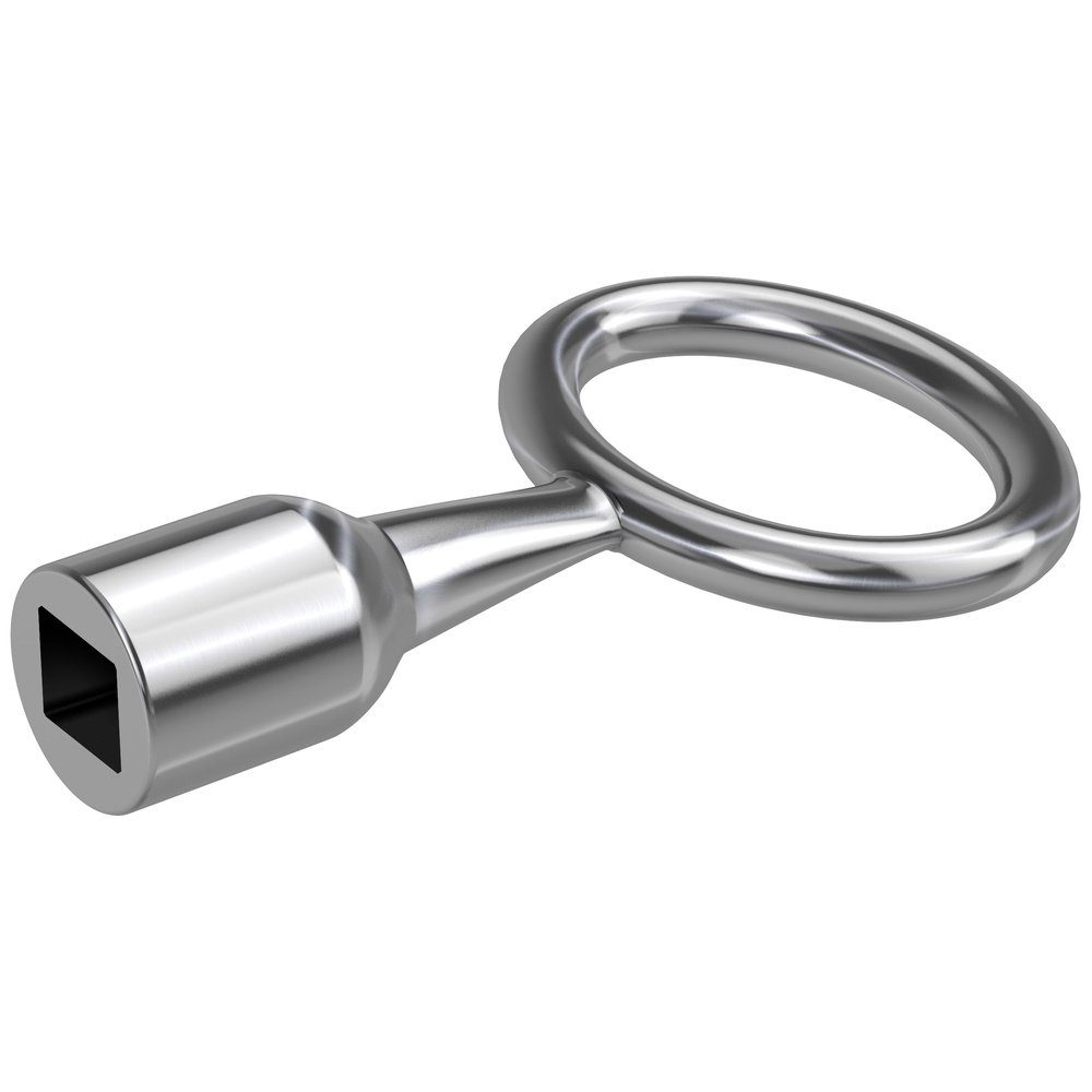Türriegel Basi 301V-9 Dornschlüssel Silber