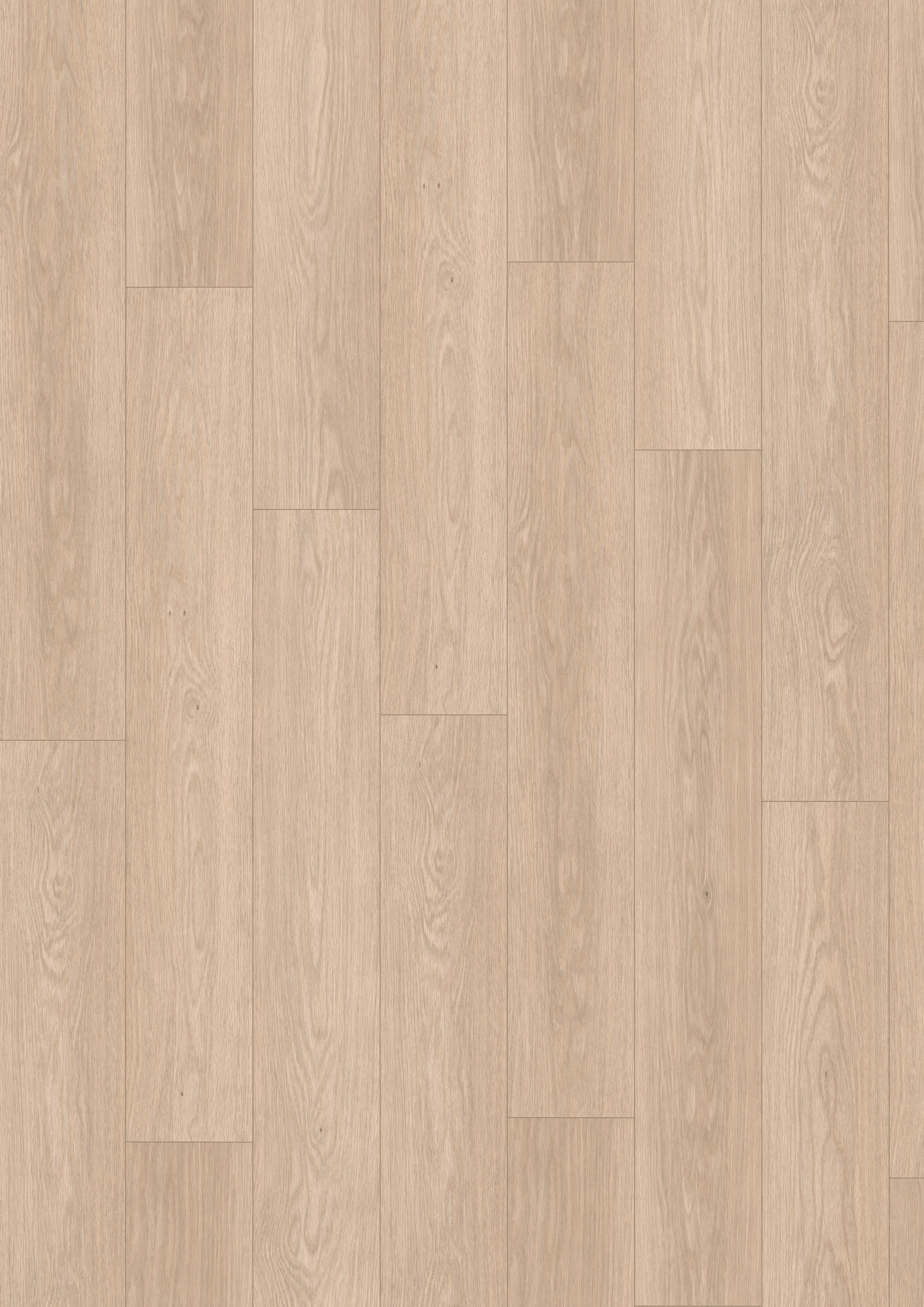 EGGER Laminat Promo NL2132 Baronia Eiche hell, (8mm, 1,995qm), Praktisch & Pflegeleicht