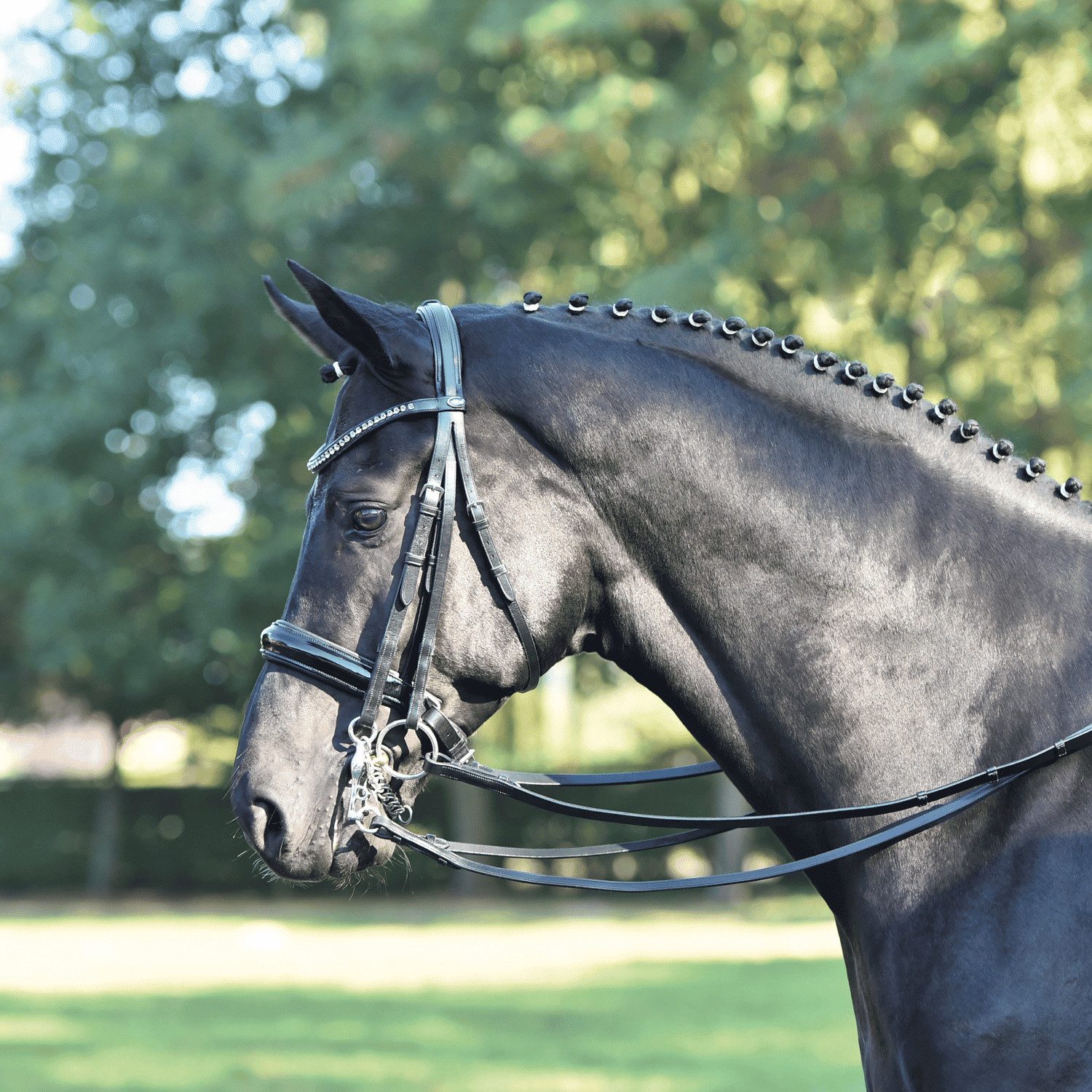 BUSSE Kandarenzaum Kandare Luxury