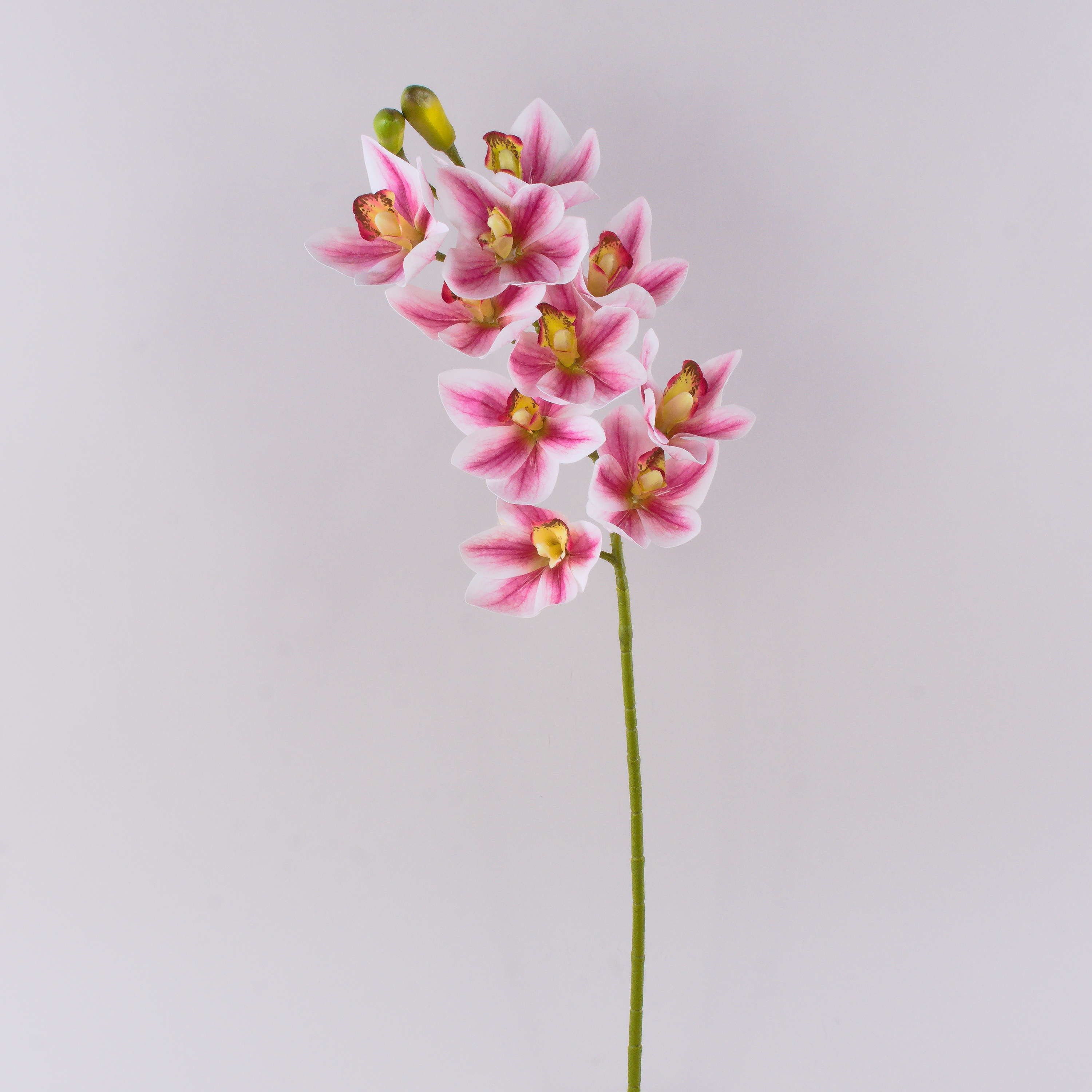 Kunstorchidee Deko Zweig Cymbidium Orchidee LANAKILA, pink-weiß, 75cm Orchidee (Orchidee cymbidium), artplants, Höhe 70.0 cm