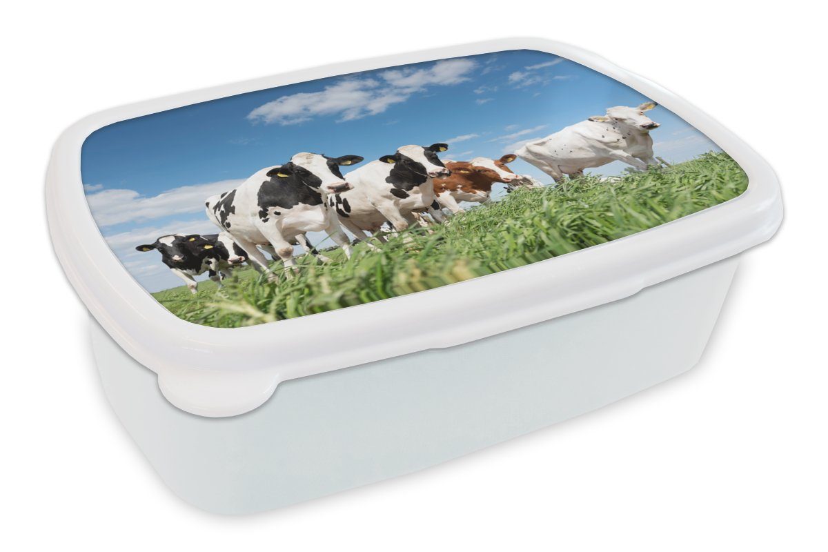 MuchoWow Lunchbox Kühe - Landleben - Weide - Natur - Tiere, Kunststoff, (2-tlg), Brotbox für Kinder und Erwachsene, Brotdose, für Jungs und Mädchen weiß