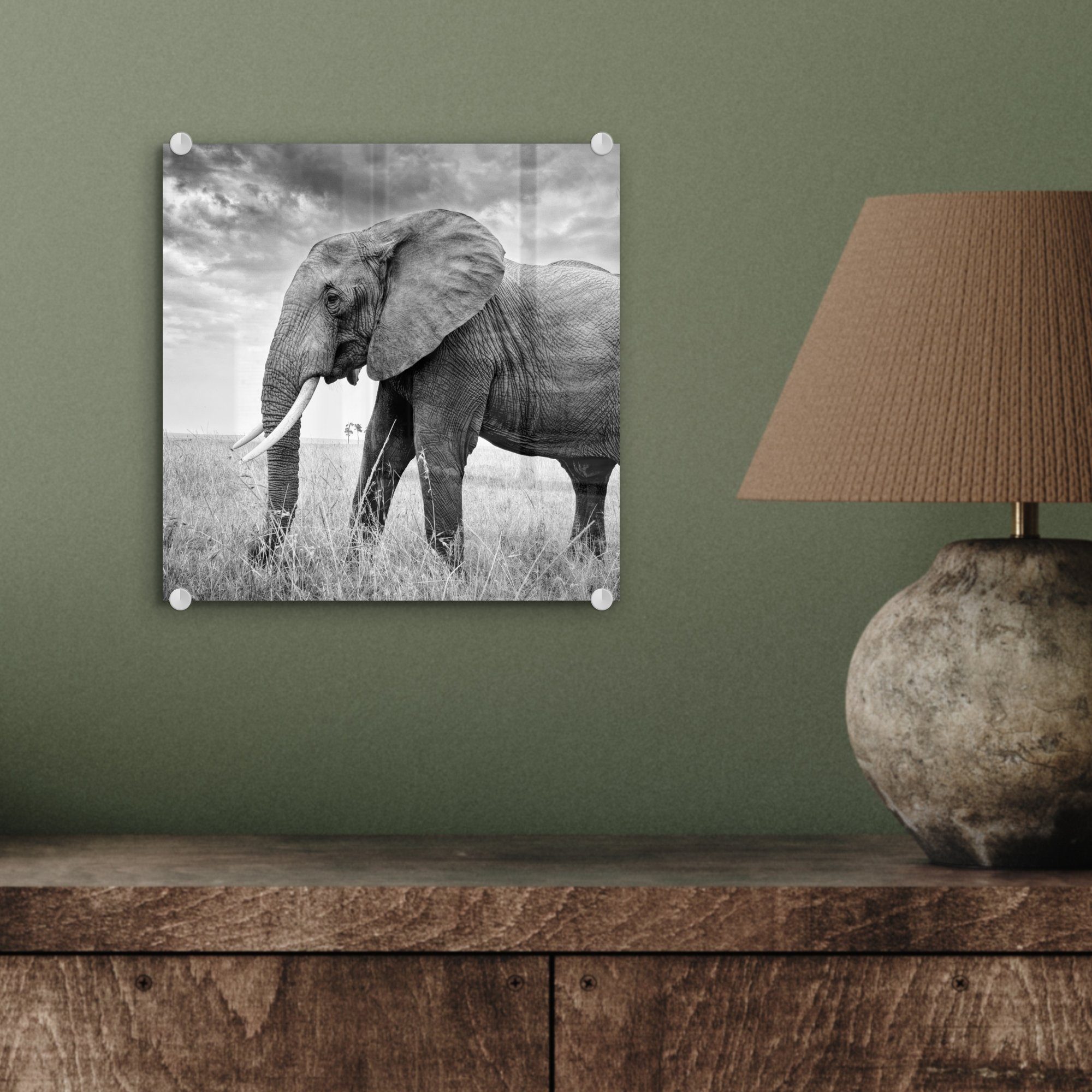 auf - und St), auf Glas Wandbild - Tiere Acrylglasbild Elefant weiß, Gras - Schwarz Wanddekoration MuchoWow Glasbilder Bilder - Foto - Glas (1 -