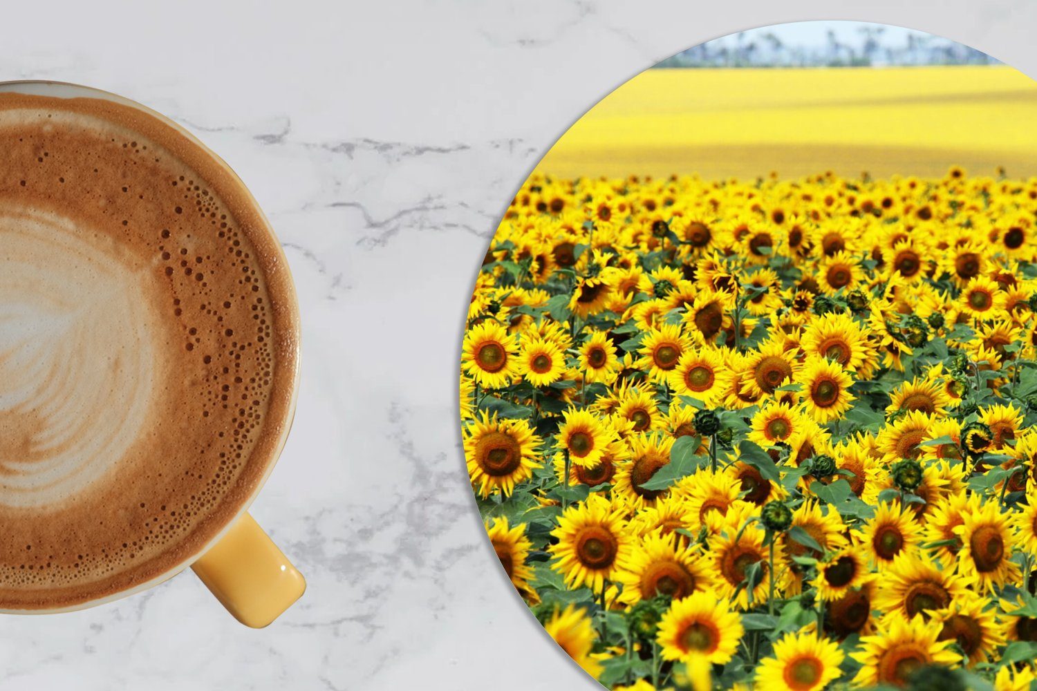 Sonnenblume Natur, für Zubehör Glasuntersetzer - Tassenuntersetzer, - MuchoWow Tasse, 6-tlg., Gläser, Korkuntersetzer, Blumen Becher Getränkeuntersetzer,