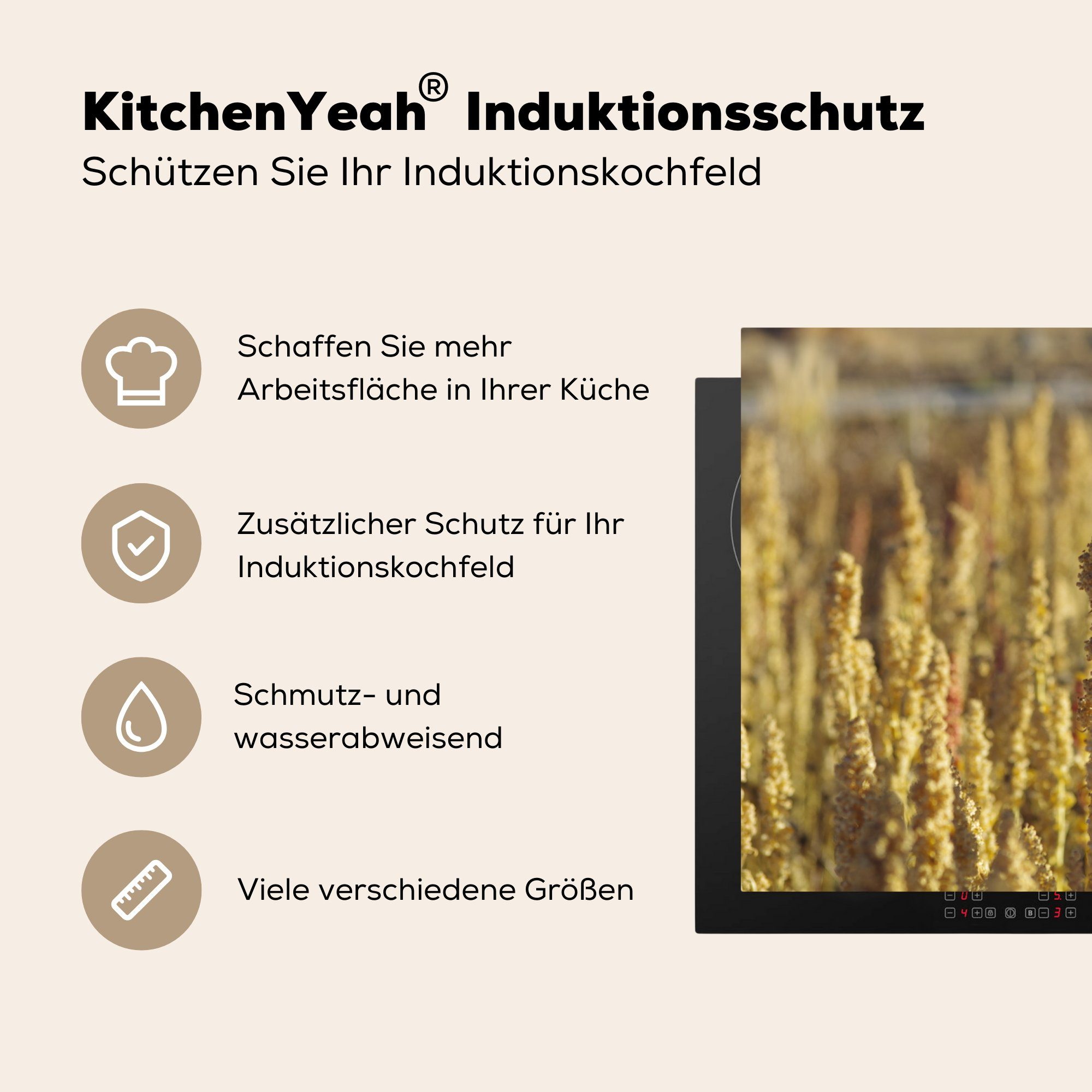Herdblende-/Abdeckplatte Induktionskochfeld Ceranfeldabdeckung cm, die Quinoa-Pflanzen, 81x52 tlg), Schutz küche, MuchoWow Vinyl, Farben Gelbe (1 der für