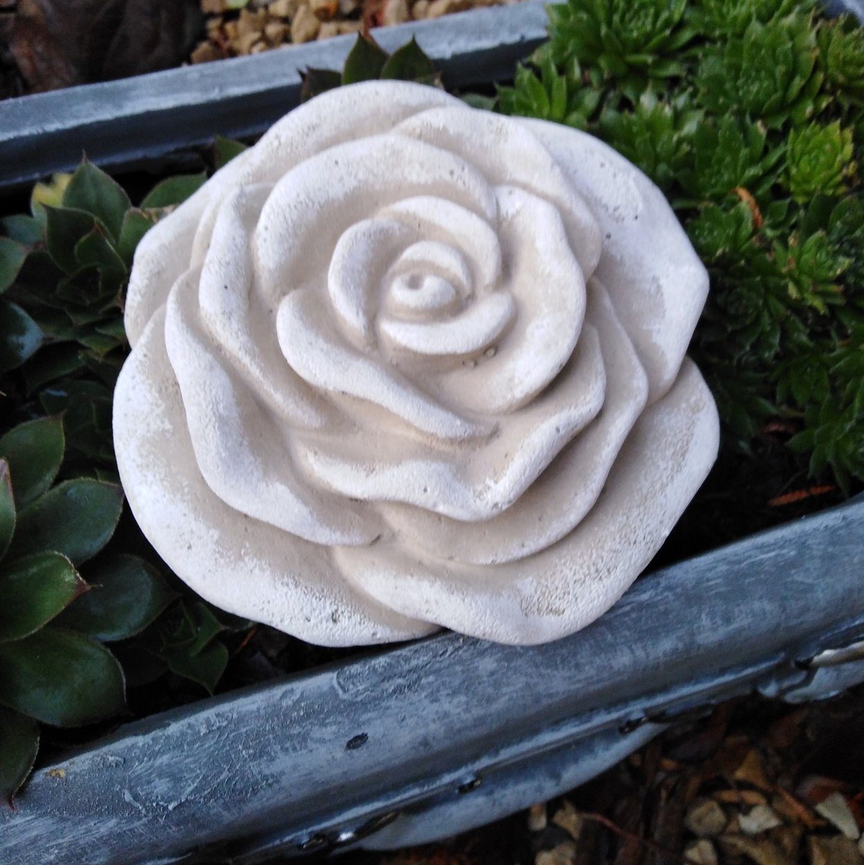 Radami Gartenfigur Stein Rose Rosenblüte Blüte günstig online kaufen