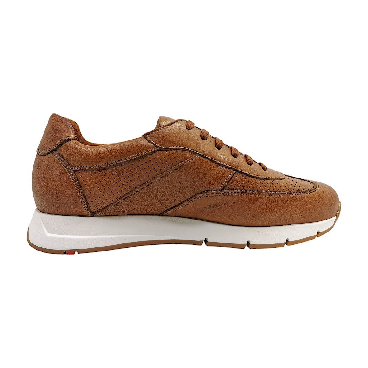 Lloyd Adlay Sneaker