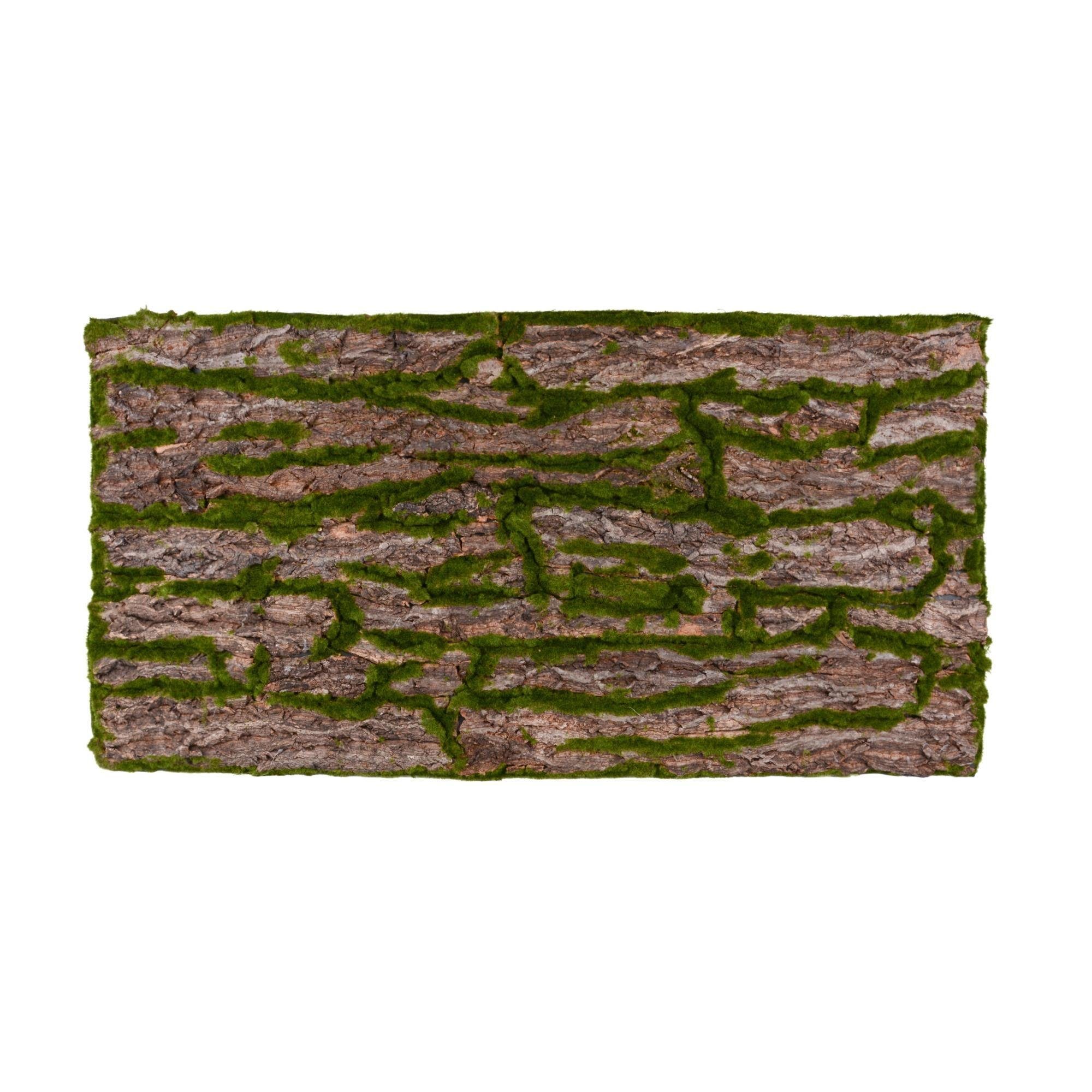 Terrarium Terrarium Rückwände für 120x60cm Terrarien