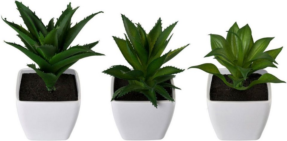 Kunstpflanze Sukkulenten Mix, Creativ green, Höhe 17 cm, 3er Set, im  Kunststofftopf