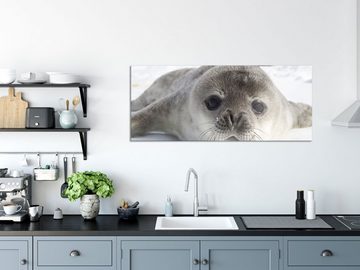 Pixxprint Glasbild Süßes Robben Baby, Süßes Robben Baby (1 St), Glasbild aus Echtglas, inkl. Aufhängungen und Abstandshalter