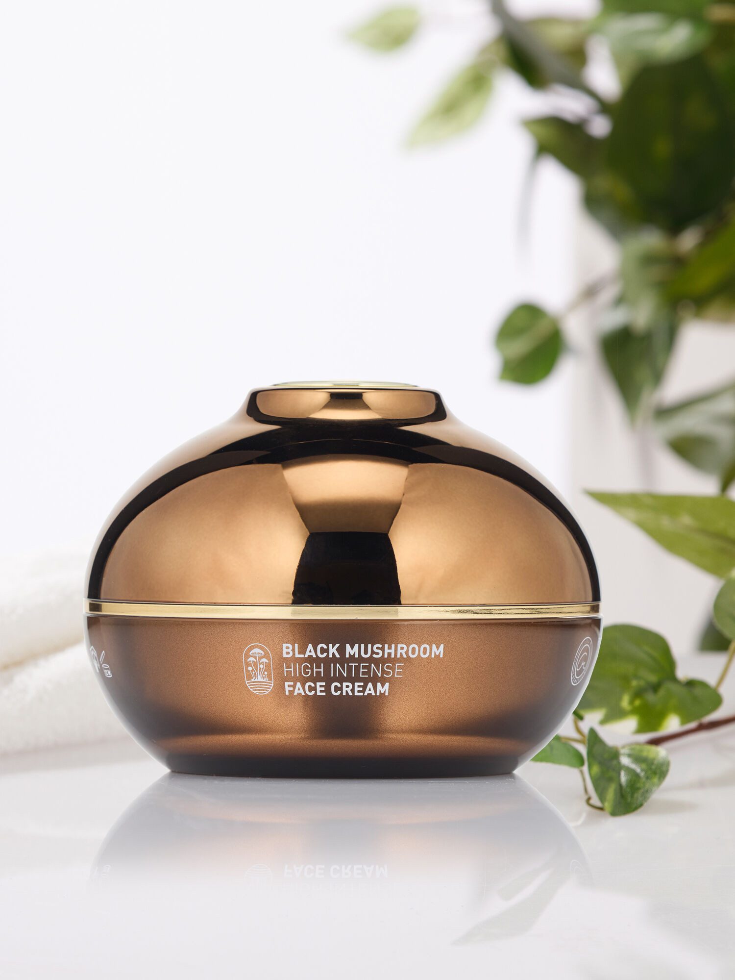 Christian Materne Gesichtspflege Gesichtscreme "Black Mushroom High Intense Cream", 100 ml, Mit Reishi- und Shiitake-Extrakten, antioxidativ, Barriere-stärkend