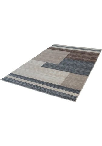 CARPET CITY Ковер »Inspiration 5807« r...