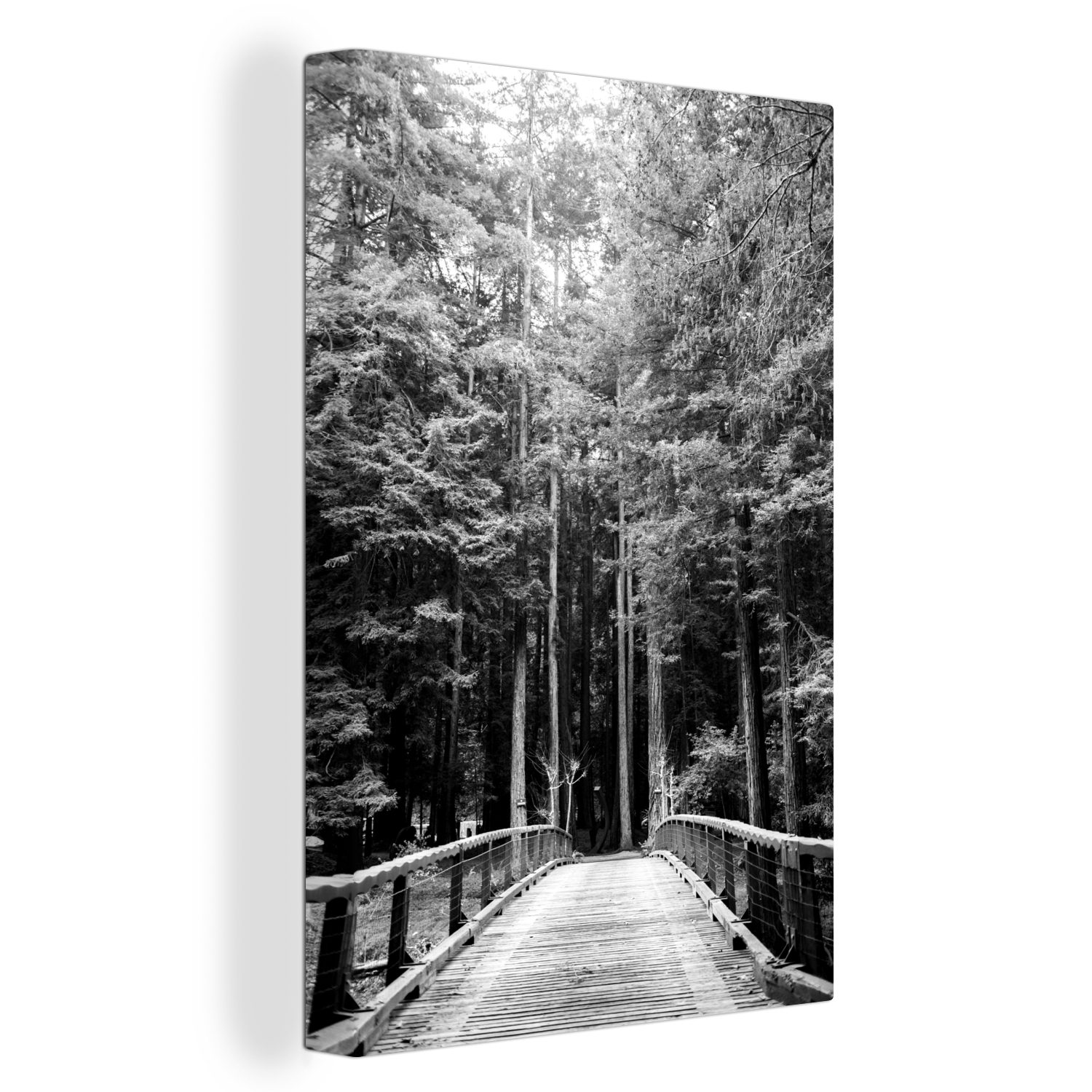 OneMillionCanvasses® Leinwandbild Spaziergang durch Bäume in Big Sur Wald in den Vereinigten Staaten -, (1 St), Leinwandbild fertig bespannt inkl. Zackenaufhänger, Gemälde, 20x30 cm